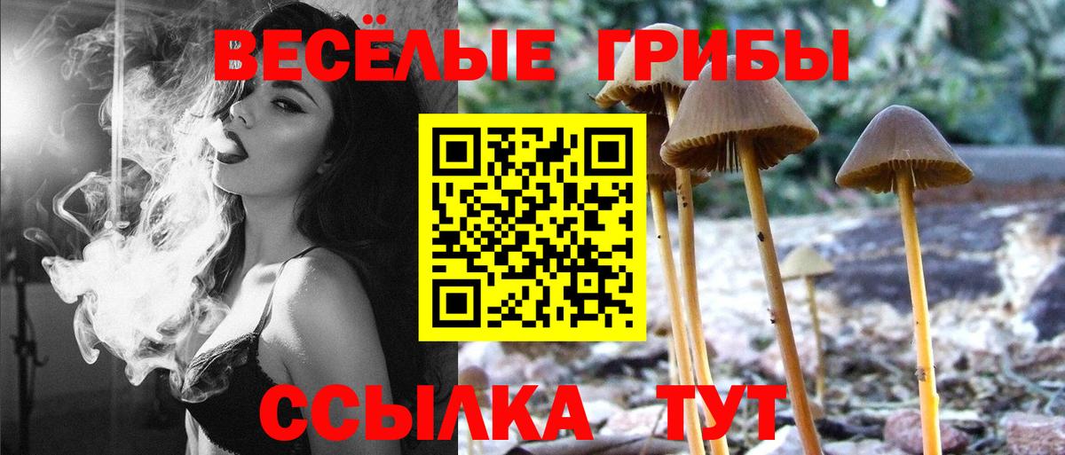 Псилоцибиновые грибы ЛСД  купить наркотики сайты  Черногорск  Вход с VPN 